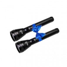 GTRON GT-042FL 2SC FLASHLIGHT 2PC COMBO