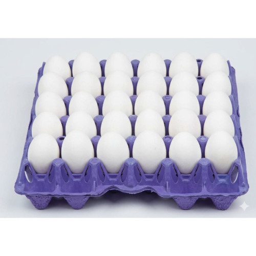 AL RAWDETEN EGGS 60/70 TRAY 30 EGGS