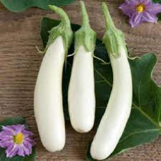 EGGPLANT LONG WHITE