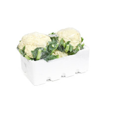 DOVE ROLL ON MUSHROOM ORIGINAL 50ML