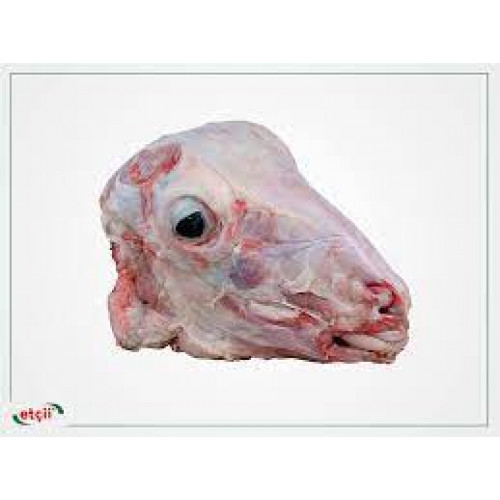 LAMB HEAD LARGE PCS