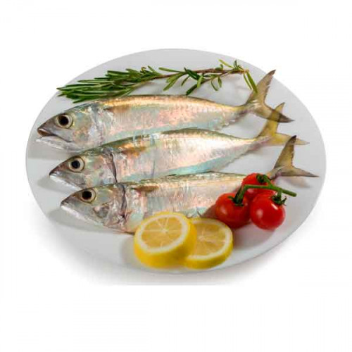 Fresh Mackerel Fish Small - 1Kg (Approx) 