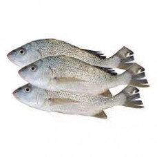 NAGROOR SMALL FISH