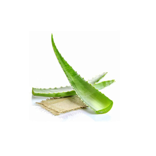 ALOE VERA 1KG APPROX
