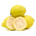 Guava - Egypt - 1Kg (Approx) 